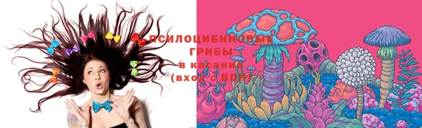 трава Усинск