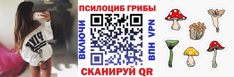 Галлюциногенные грибы мицелий  Купить где  Великий Новгород 